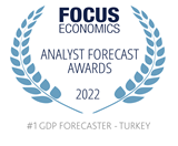 #1 GDP Forecaster Turkey 2022